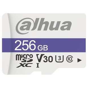 Dahua DHI-TF-C100/256GB Карта пам'яті microSD