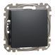 Schneider Electric Sedna Design & Elements SDD114101 Вимикач