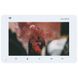 Slinex SM-07N Cloud 7" дюймів white Відеодомофон, Білий