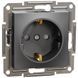 Schneider Electric Asfora EPH2900271 Розетка із заземленням та шторками антрацит